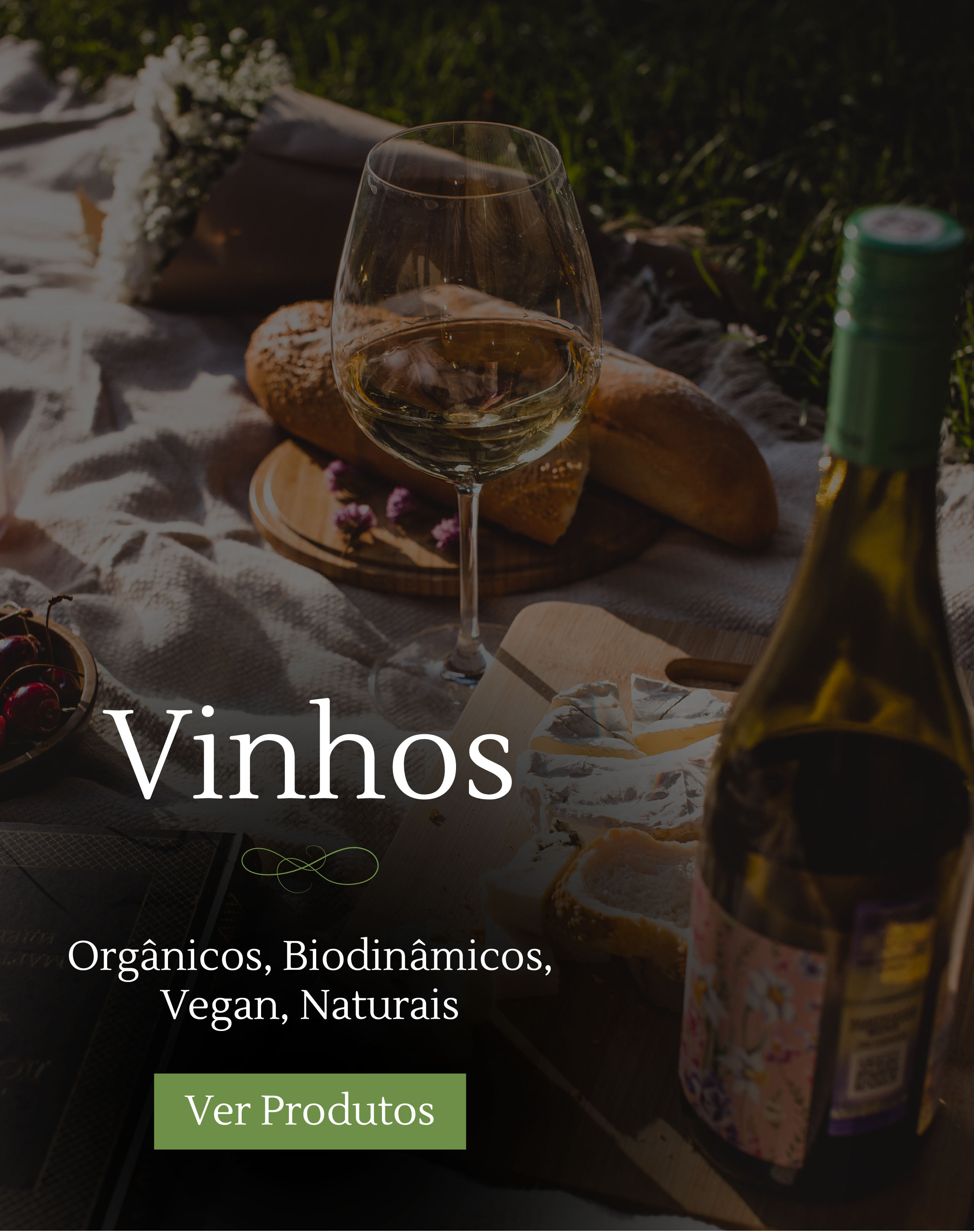 vinhos-organicos-biodinamicos-vegan-naturais